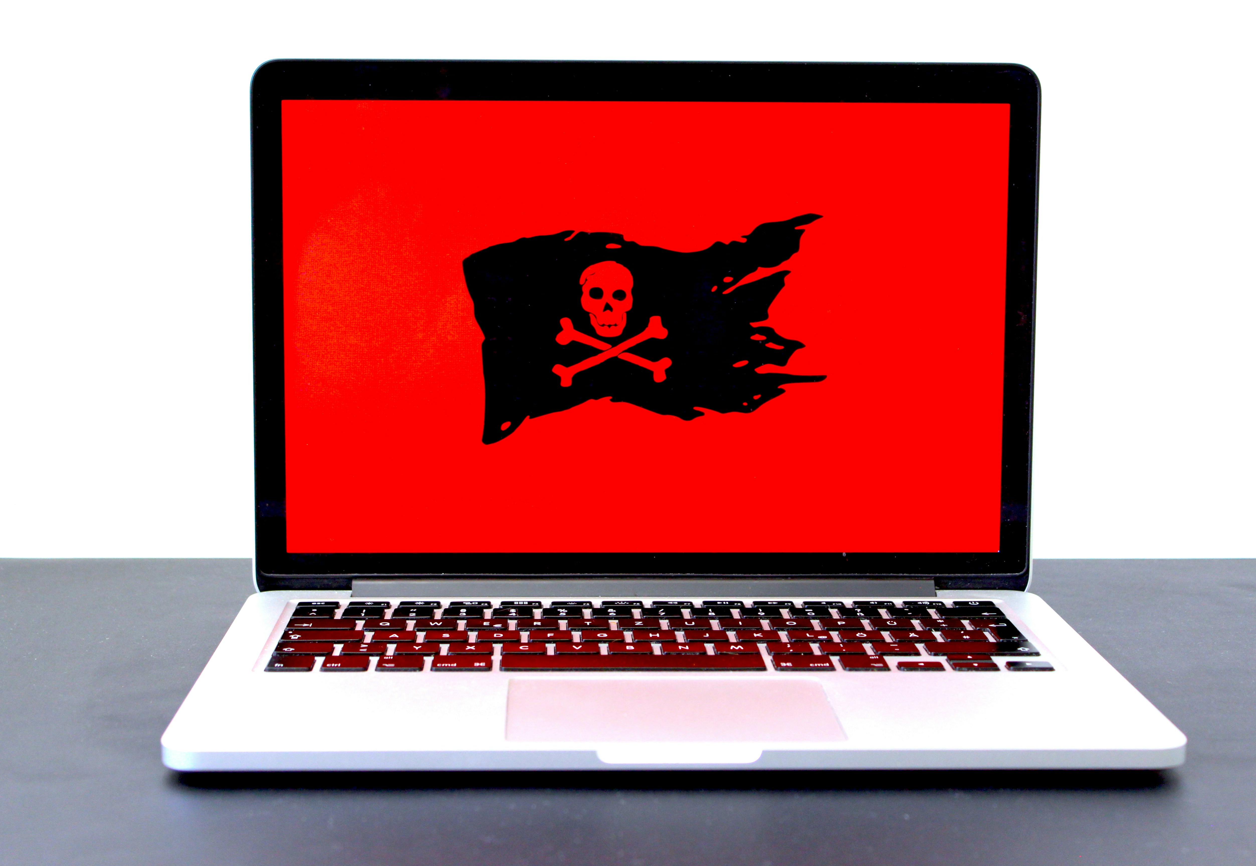 What to Do If You Get Scammed Online (Step-by-Step Guide)